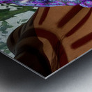 Bufo Alvarius - Sonoran Desert Toad Impression metal