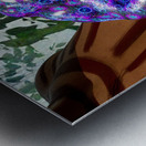 Bufo Alvarius - Sonoran Desert Toad Metal print