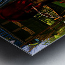 Amazon River Ghost - End of a Culture Metal print