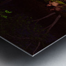 Hylas and the Nymphs Metal print