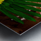 Ancient Egyptian Goddess Isis  Metal print