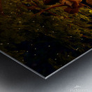 The God Pan with Nymphs Dancing in the Forest Metal print