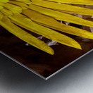 Ancient Egyptian Goddess Isis  Impression metal