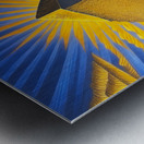 Crowning Reward of Persistence Metal print