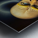 Joy and Sorrow Metal print