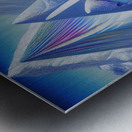 middleschool15 Metal print