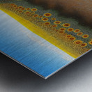 middleschool14 Metal print