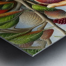 middleschool30 Metal print