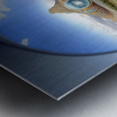 middleschool29 Metal print