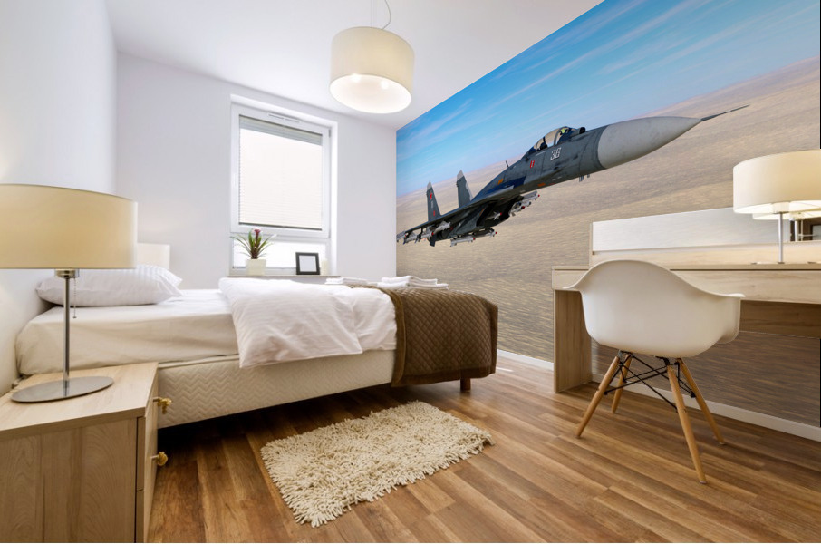 Sukhoi Su-47 Berkut Mural print
