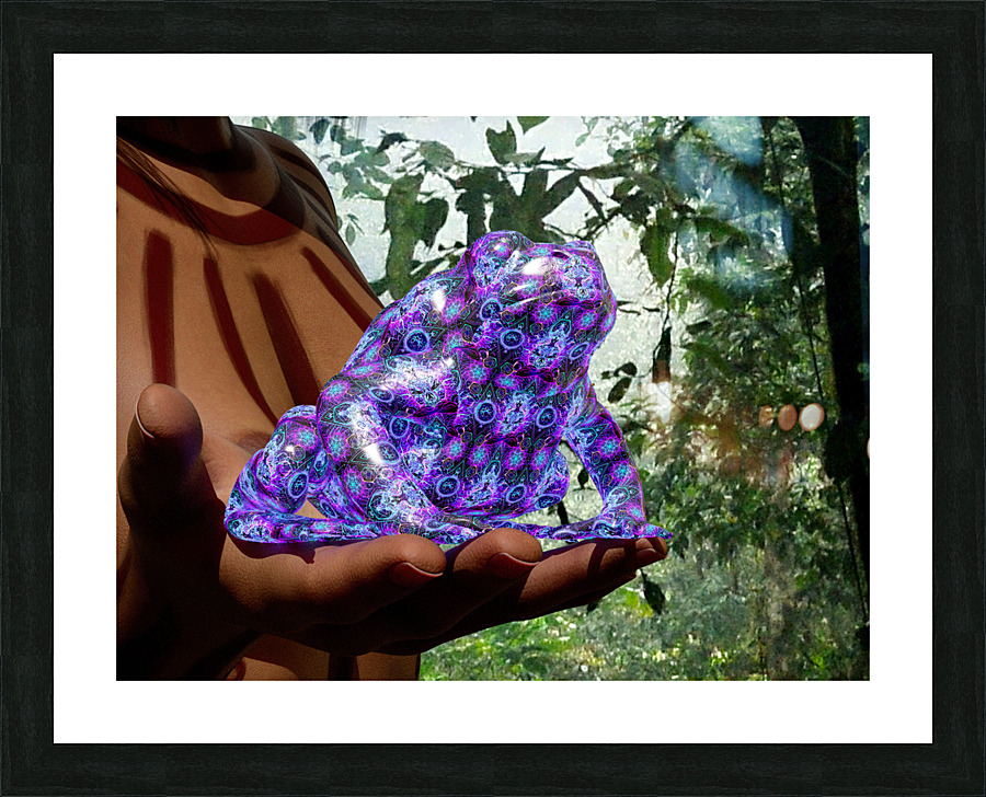 Bufo Alvarius - Sonoran Desert Toad Impression et Cadre photo