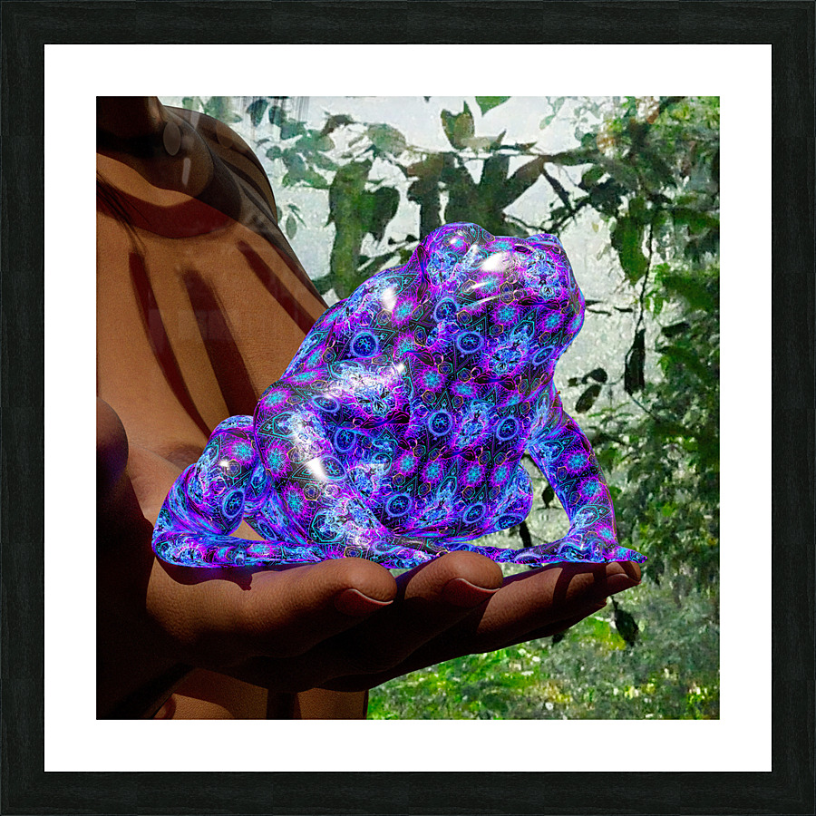 Bufo Alvarius - Sonoran Desert Toad Picture Frame print