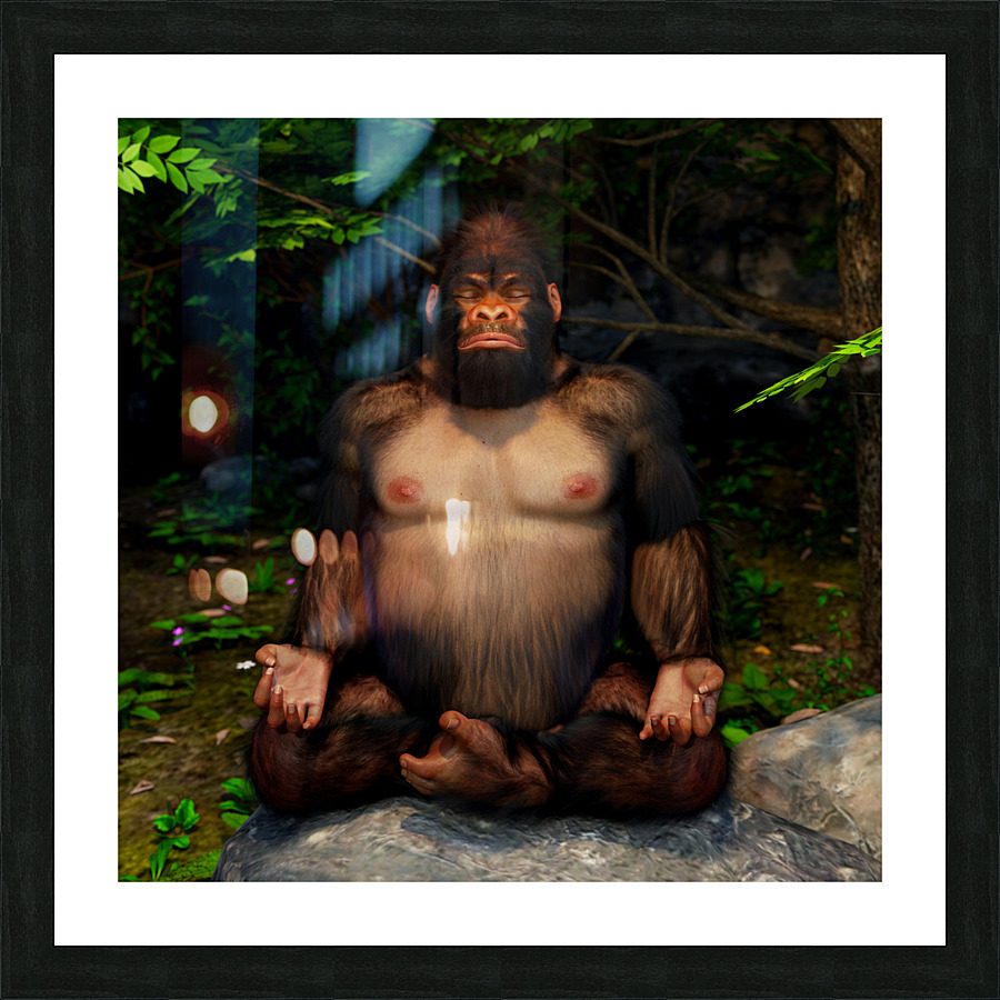 Yo-Gorilla - Transitioning through Meditation Picture Frame print