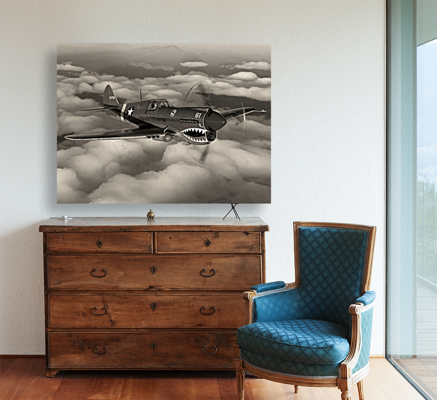 Curtiss P-40 Warhawk BW Reproduction