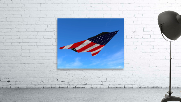 Lockheed F-117 Nighthawk Wall Preview