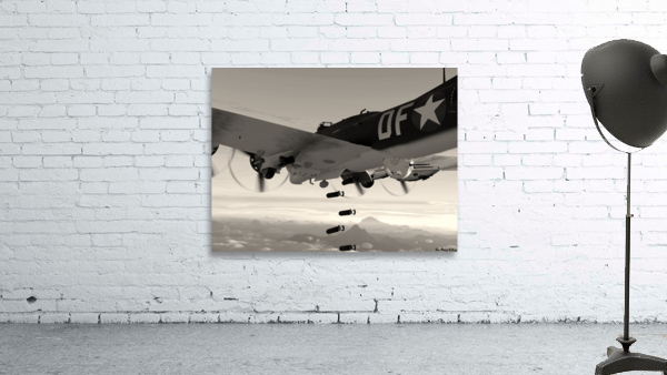 Boeing B-17 Flying Fortress Bomb Drop BW Wall Preview