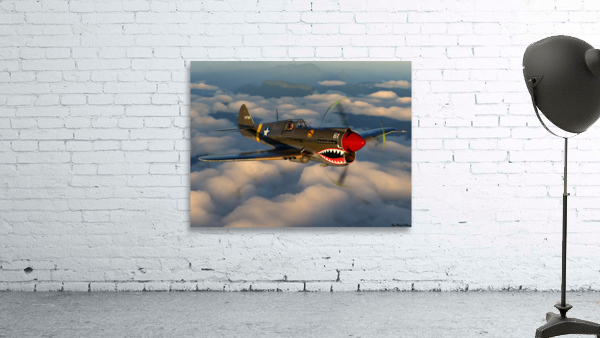 Curtiss P-40 Warhawk Color Wall Preview