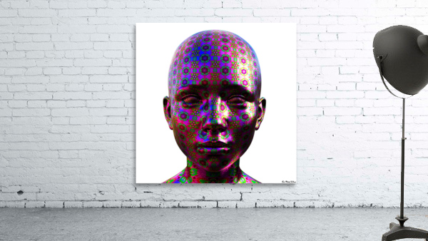 DMT Ayahuasca Experience Wall Preview