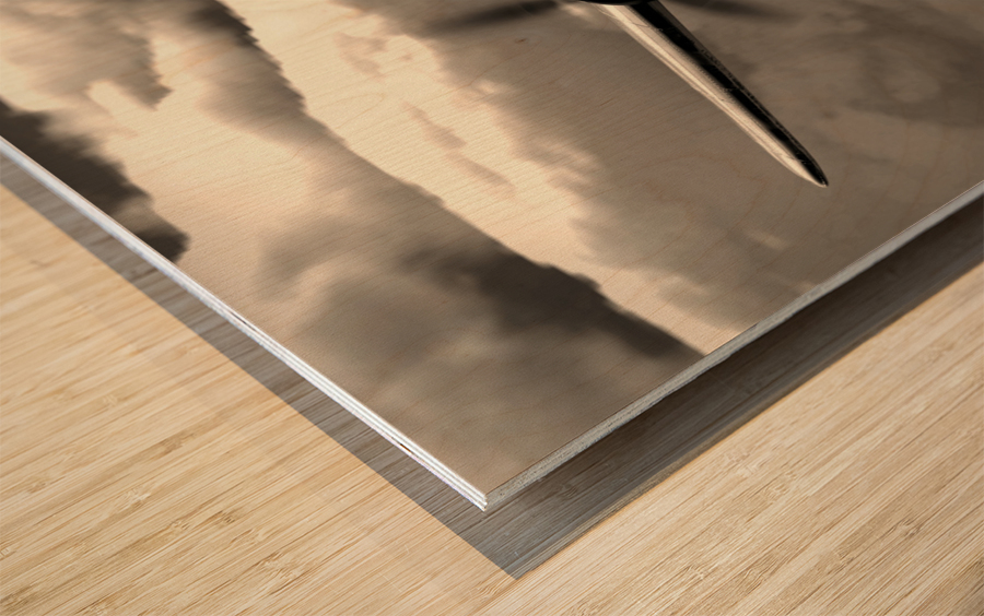 Messerschmitt Bf 109 BW Wood print