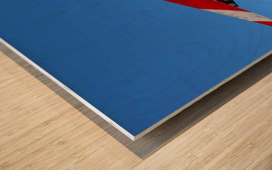 Lockheed F-117 Nighthawk Wood print