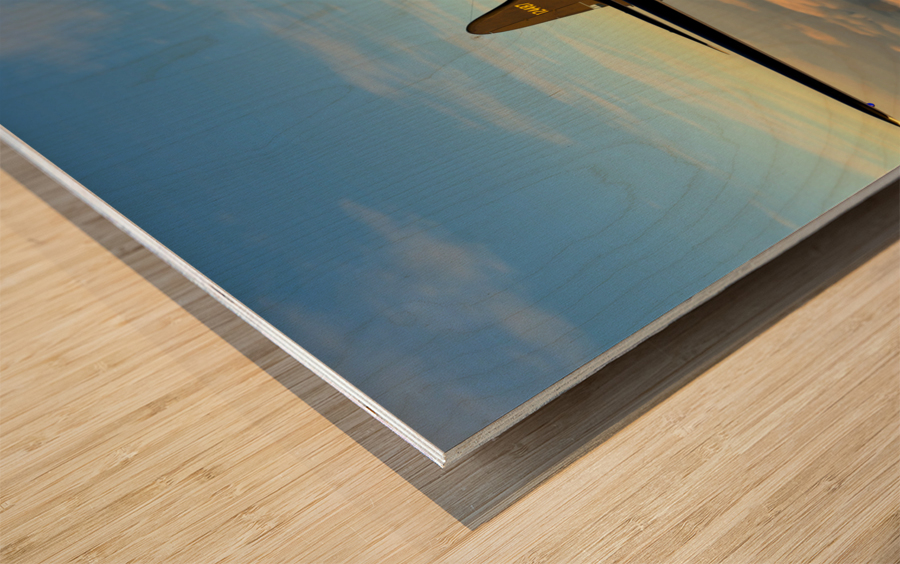 Boeing B-17 Flying Fortress Bomb Drop 2 color Wood print