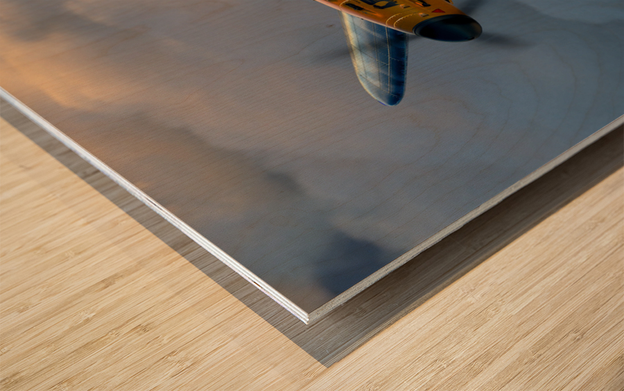 Messerschmitt Bf 109 Wood print