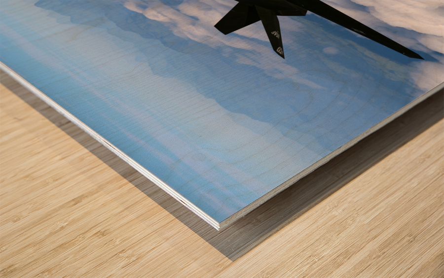 Lockheed F-117 Nighthawk Wood print