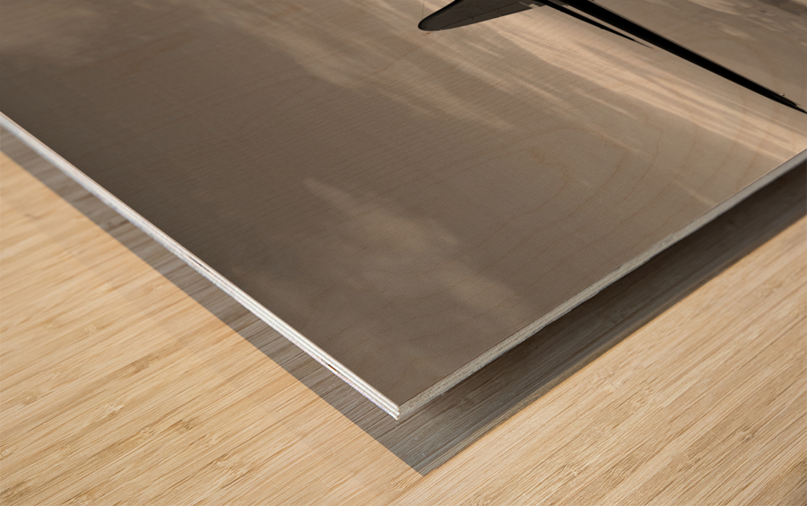 Boeing B-17 Flying Fortress Bomb Drop 2 BW Wood print