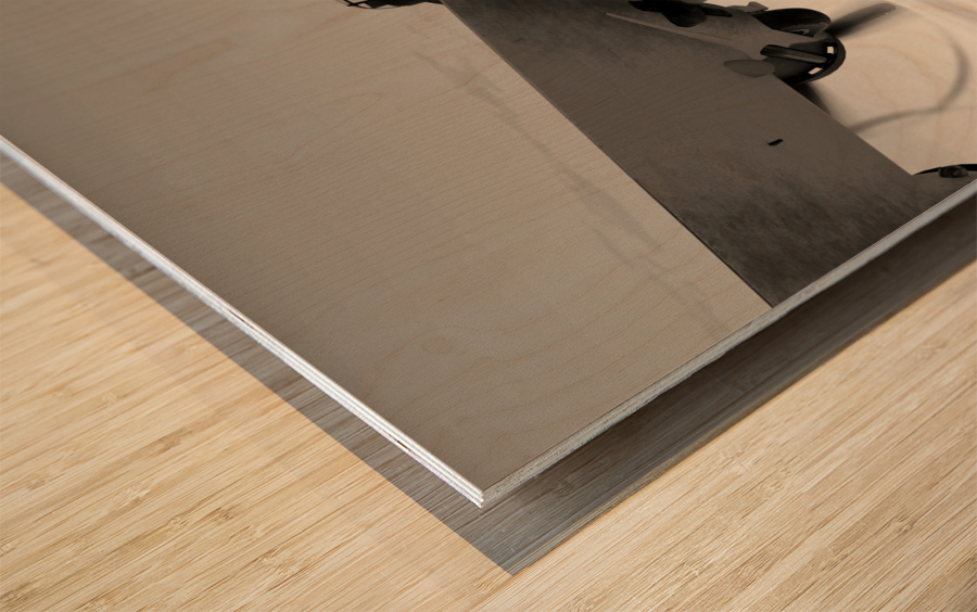 Boeing B-17 Flying Fortress Bomb Drop BW Wood print