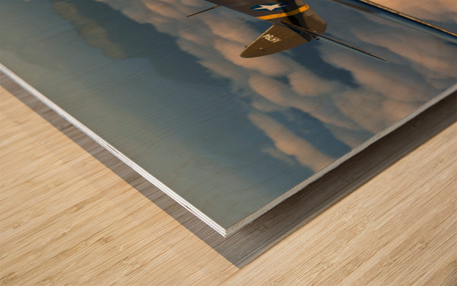 Curtiss P-40 Warhawk Color Wood print