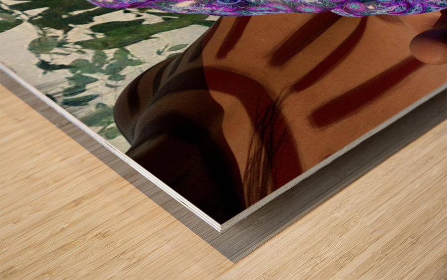 Bufo Alvarius - Sonoran Desert Toad Impression sur bois