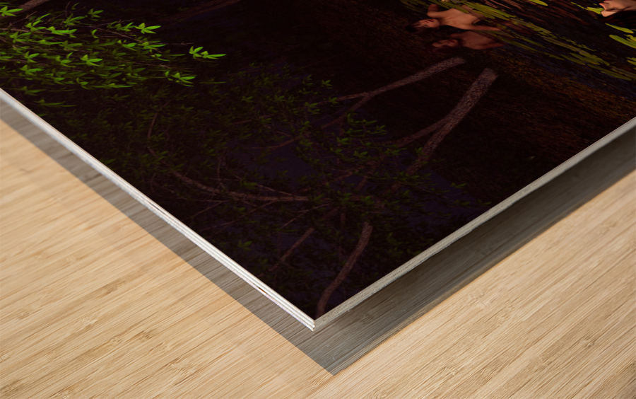 Hylas and the Nymphs Wood print