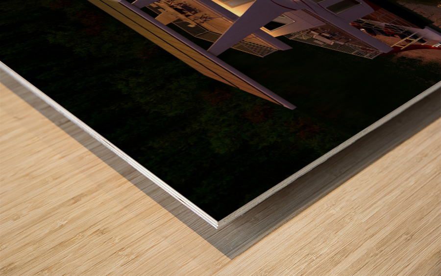 Solar Electric Powered Houseboat  Wood print