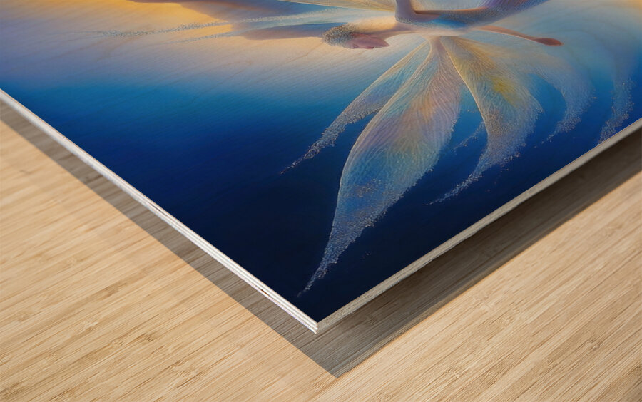 middleschool17 Wood print