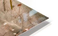 Petal HD Metal print