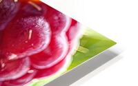 close up raspberry 3 HD Metal print