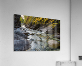 635 4 Acrylic Print