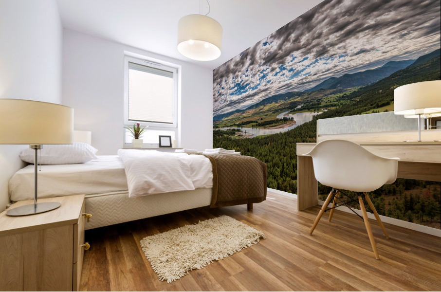 Clark Fork Valley 1 Mural print