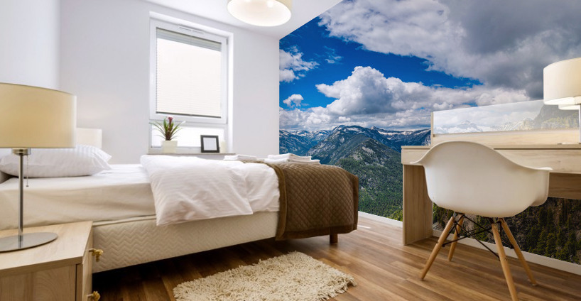 635 1 Mural print