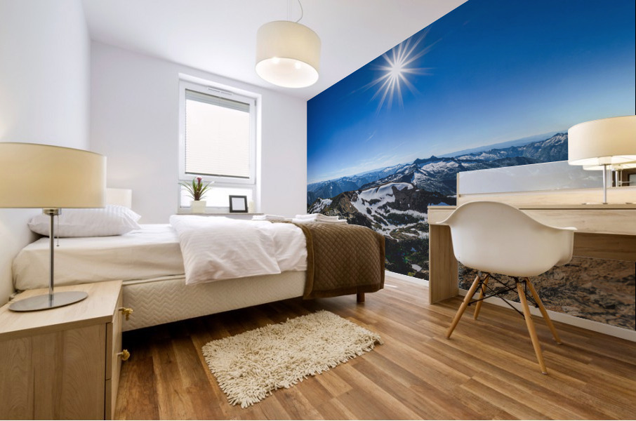 635 3 Mural print