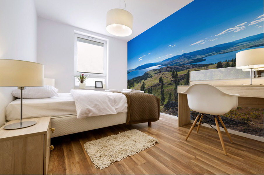 635 2 Mural print