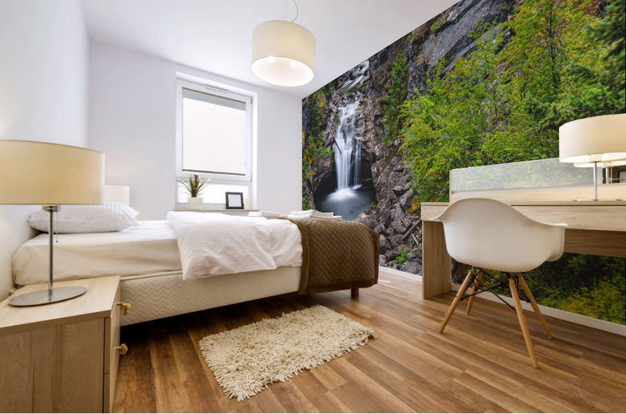 635 5 Mural print