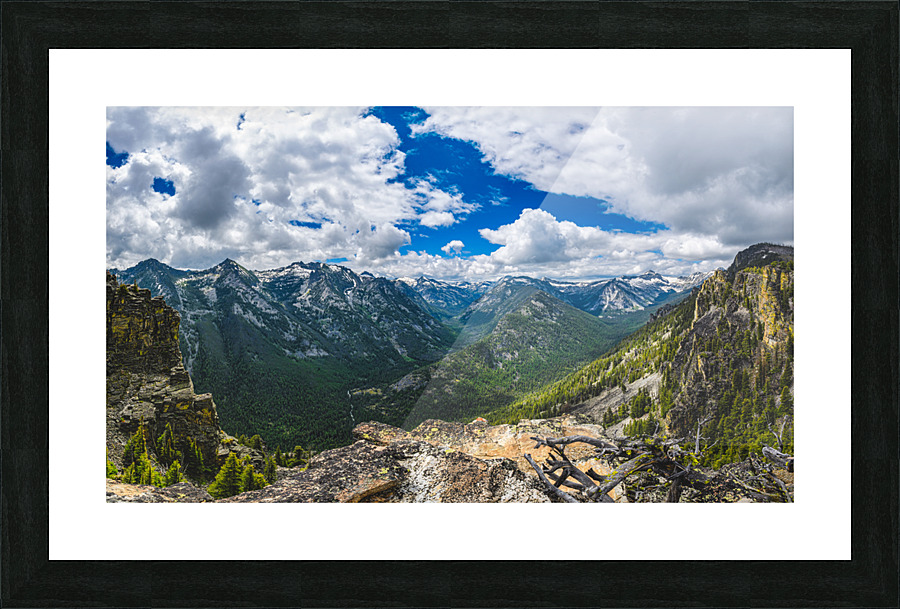 635 1 Picture Frame print