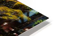 635 4 HD Metal print