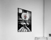 Ephemeral Bloom Acrylic Print