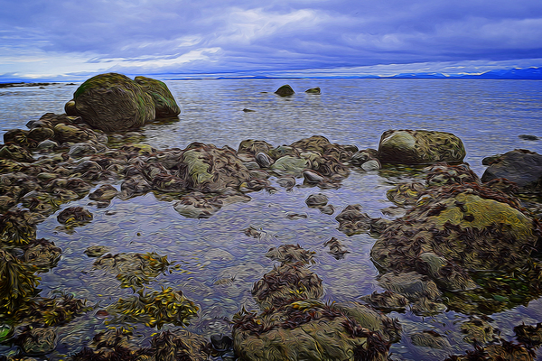 Tranquility at Low Tide Digital Download