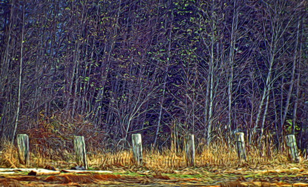 Weathered Fence Posts Digital Download