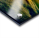 IMG 5992 Acrylic print