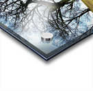 IMG 5059 Acrylic print