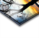 IMG 6009 Acrylic print